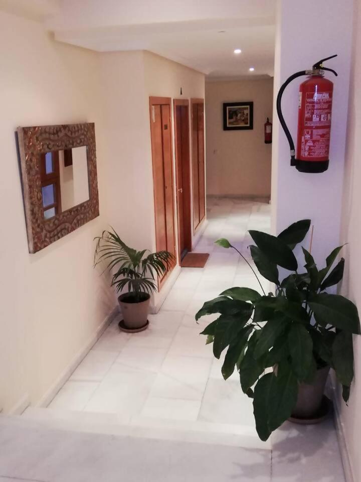 La Dama Del Jardin Del Nuncio Apartment Toledo Ngoại thất bức ảnh
